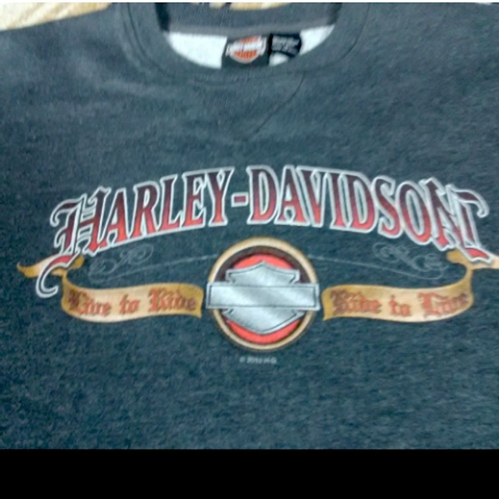 HARLEY DAVIDSON SWEAT SHIRT MENS SIZE LARGE SNAKE